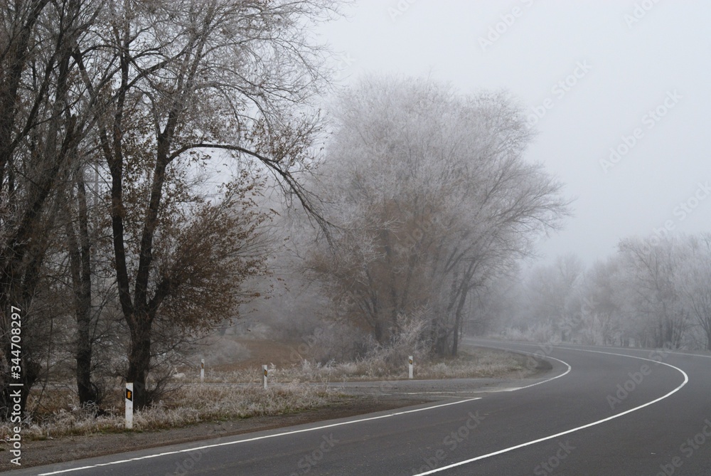 Road on a winter frosty foggy day