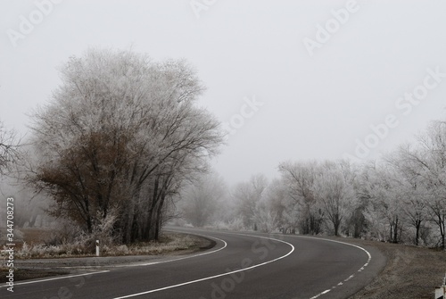 Road on a winter frosty foggy day