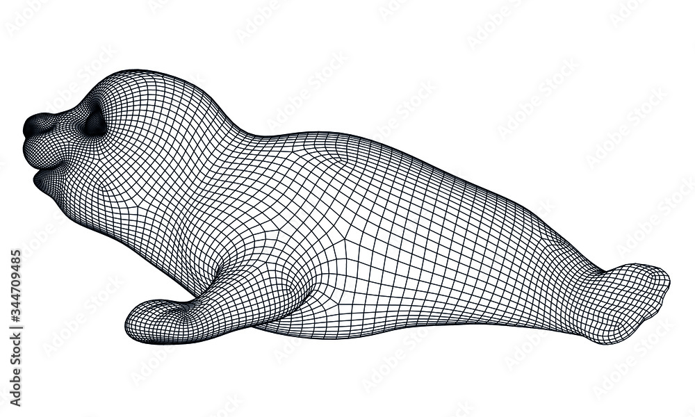 Baby seal polygonal lines illustration. Abstract vector seal on the white background Baby seal polygonal lines illustration. Abstract vector seal on the white background