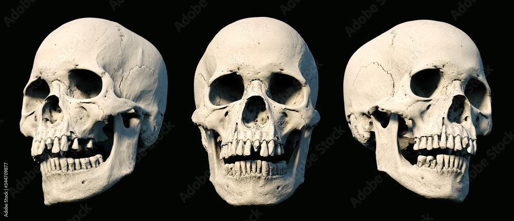 Sets Human Skull turned from different sides on rich colors. White isolated. The concept of death, horror. Symbol of creepy halloween. 3d rendering illustration. Sets Human Skull turned from different sides on rich colors. White isolated. The concept of death, horror. Symbol of creepy halloween. 3d rendering illustration.