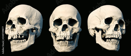 Sets Human Skull turned from different sides on rich colors. White isolated. The concept of death, horror. Symbol of creepy halloween. 3d rendering illustration.