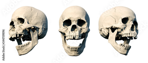Sets Human Skull turned from different sides on rich colors. White isolated. The concept of death, horror. Symbol of creepy halloween. 3d rendering illustration.
