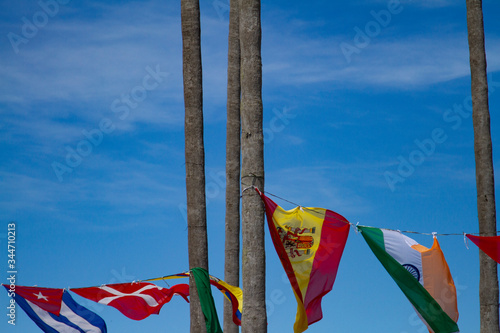 Palmeras y banderas.