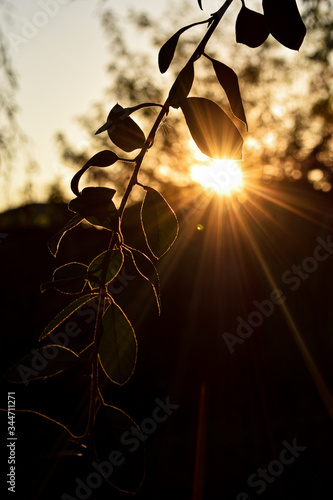 sun