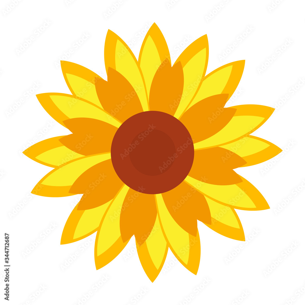Isolated sunflower image Isolated sunflower image