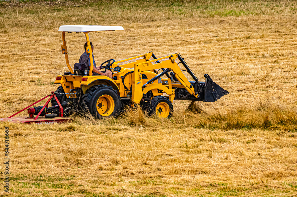 Obraz premium Slasher