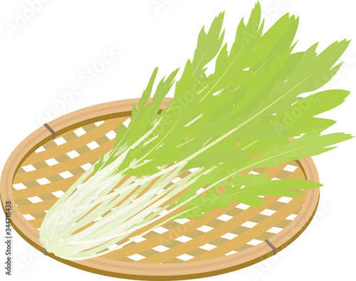 水菜　京菜　イラスト　かご盛り