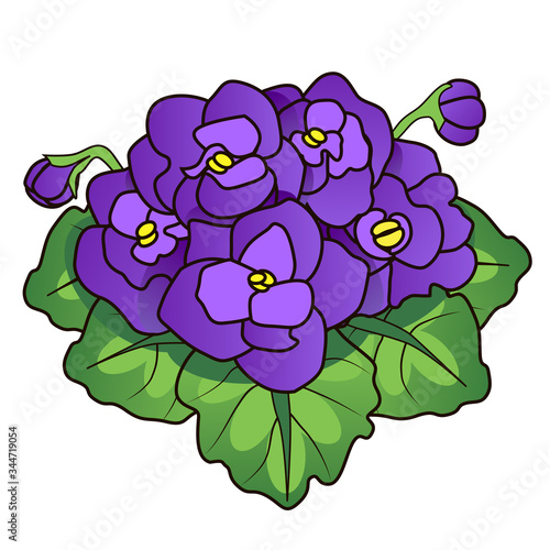 Isolated vector blank for design of cards and invitations; inflorescence of violets collected in a bouquet; purple flowers and green leaves in a bouquet; a gift for a woman on a holiday