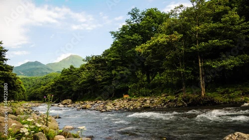 Timelapse of a river in Shiretoko natural reserve of Hokkaido, Japan