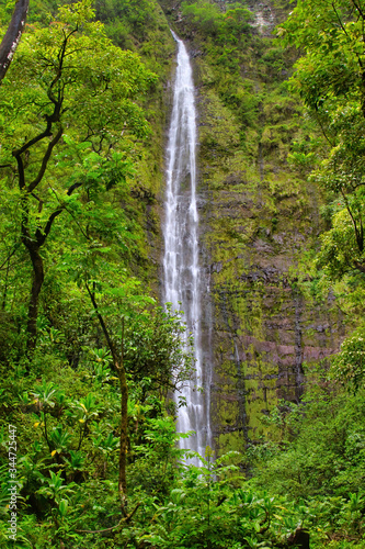 Towering lush  waterfall at Haleakala State Park on Maui.