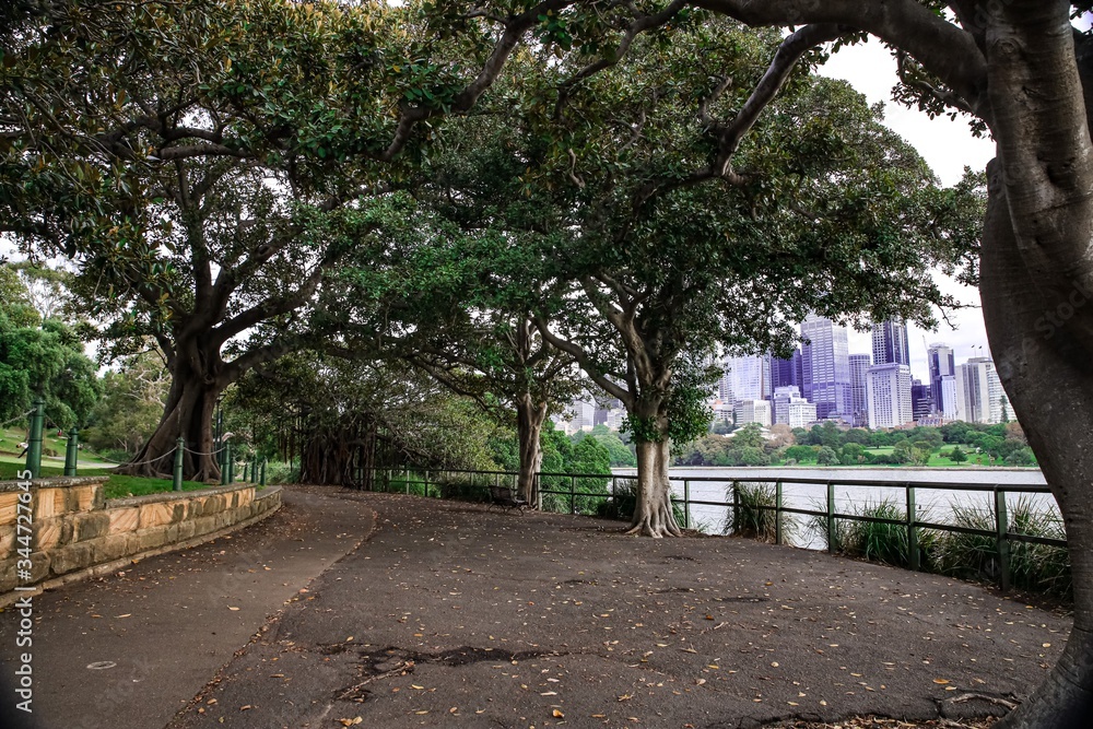 Beautiful Park on Sydney Australia harbour 