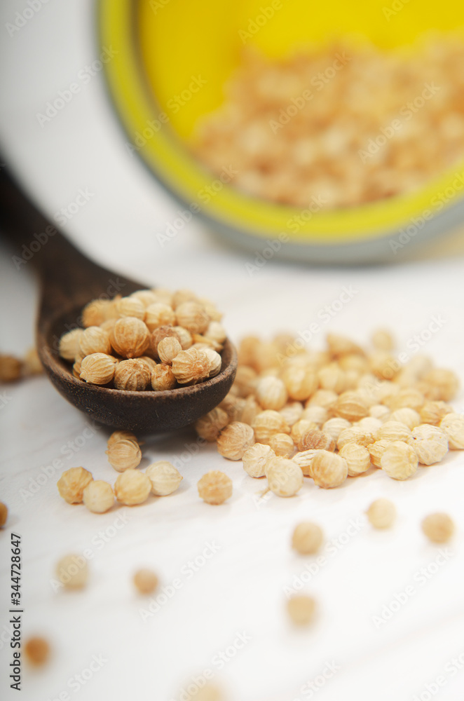 Coriander Seeds, (Coriandrum sativum) used as a spice Coriander Seeds, (Coriandrum sativum) used as a spice