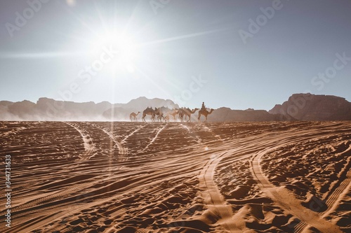 Wadi Rum Camels Adventure Sunset