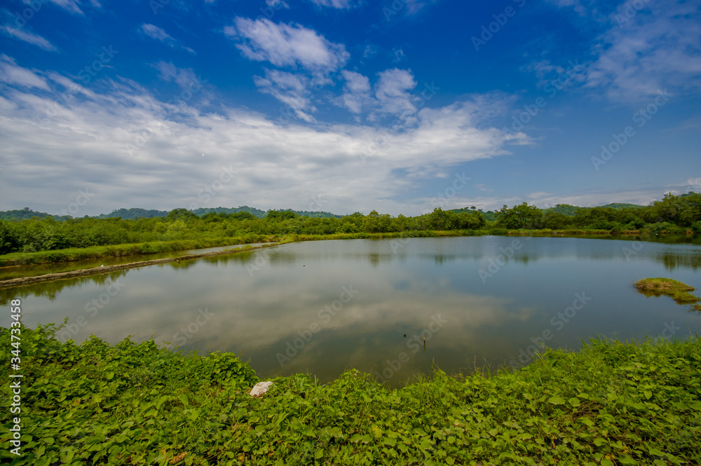 Lake in in the coast of Same, surrounded with abundat vegetation in a sunny day in the Ecuadorian coasts Lake in in the coast of Same, surrounded with abundat vegetation in a sunny day in the Ecuadorian coasts