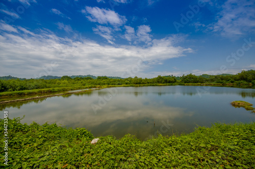 Lake in in the coast of Same, surrounded with abundat vegetation in a sunny day in the Ecuadorian coasts