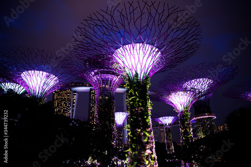 The illuminated Supertree Grove at Gardens by the Bay in Singapore