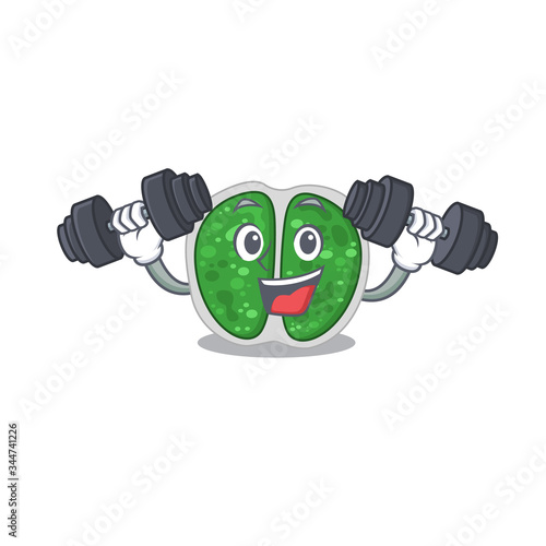 Mascot design of smiling Fitness exercise chroococcales bacteria lift up barbells