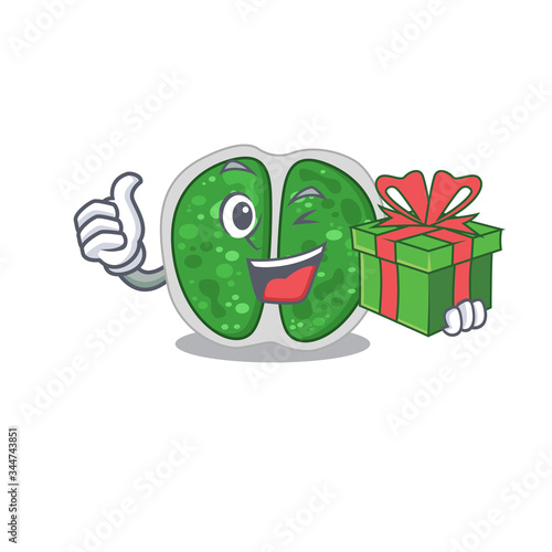 Smiling chroococcales bacteria cartoon character having a green gift box photo