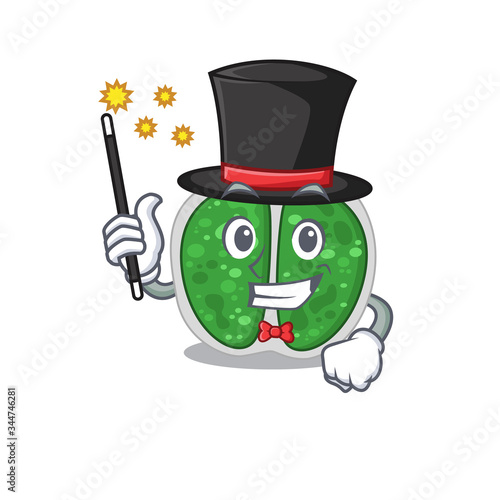 An attractive Magician of chroococcales bacteria cartoon design