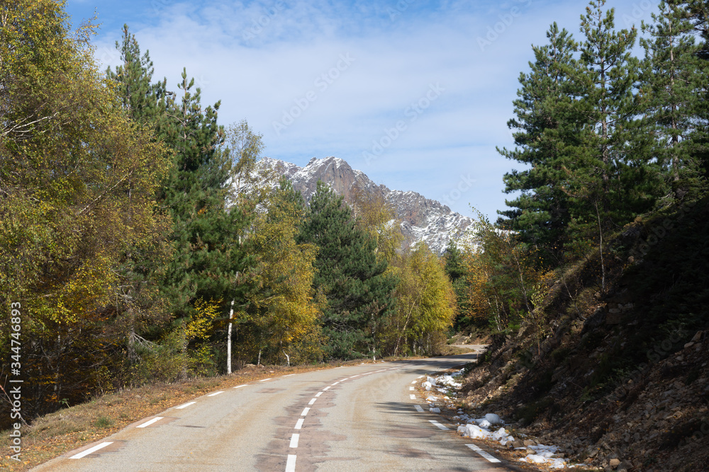 Fototapeta premium Col de Vergio dans les montagnes corses