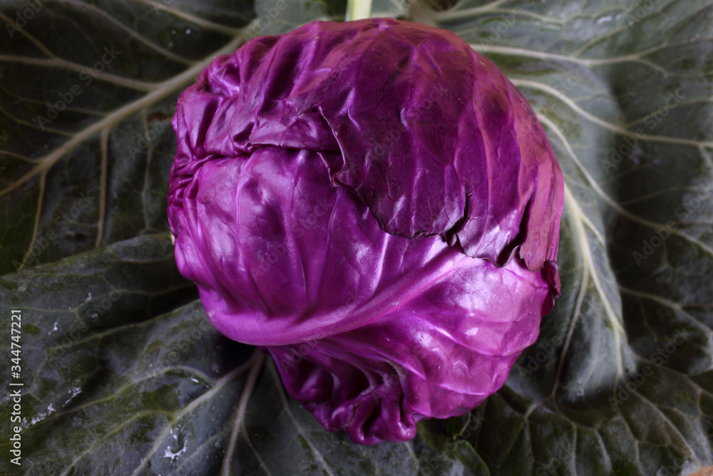 Cabbage on leaves Cabbage on leaves