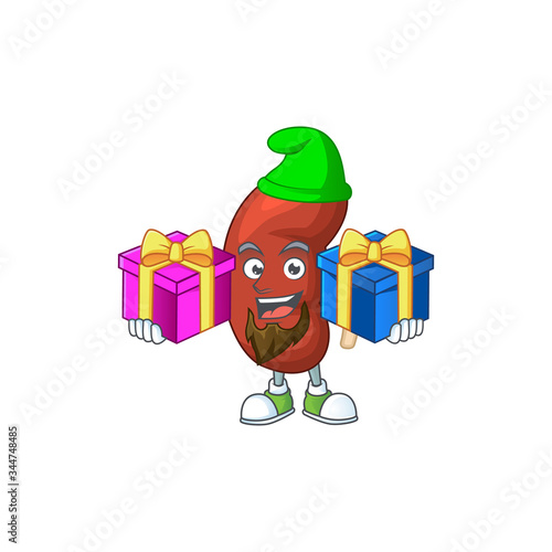 A smiling leaf human kidney cartoon design having Christmas gifts