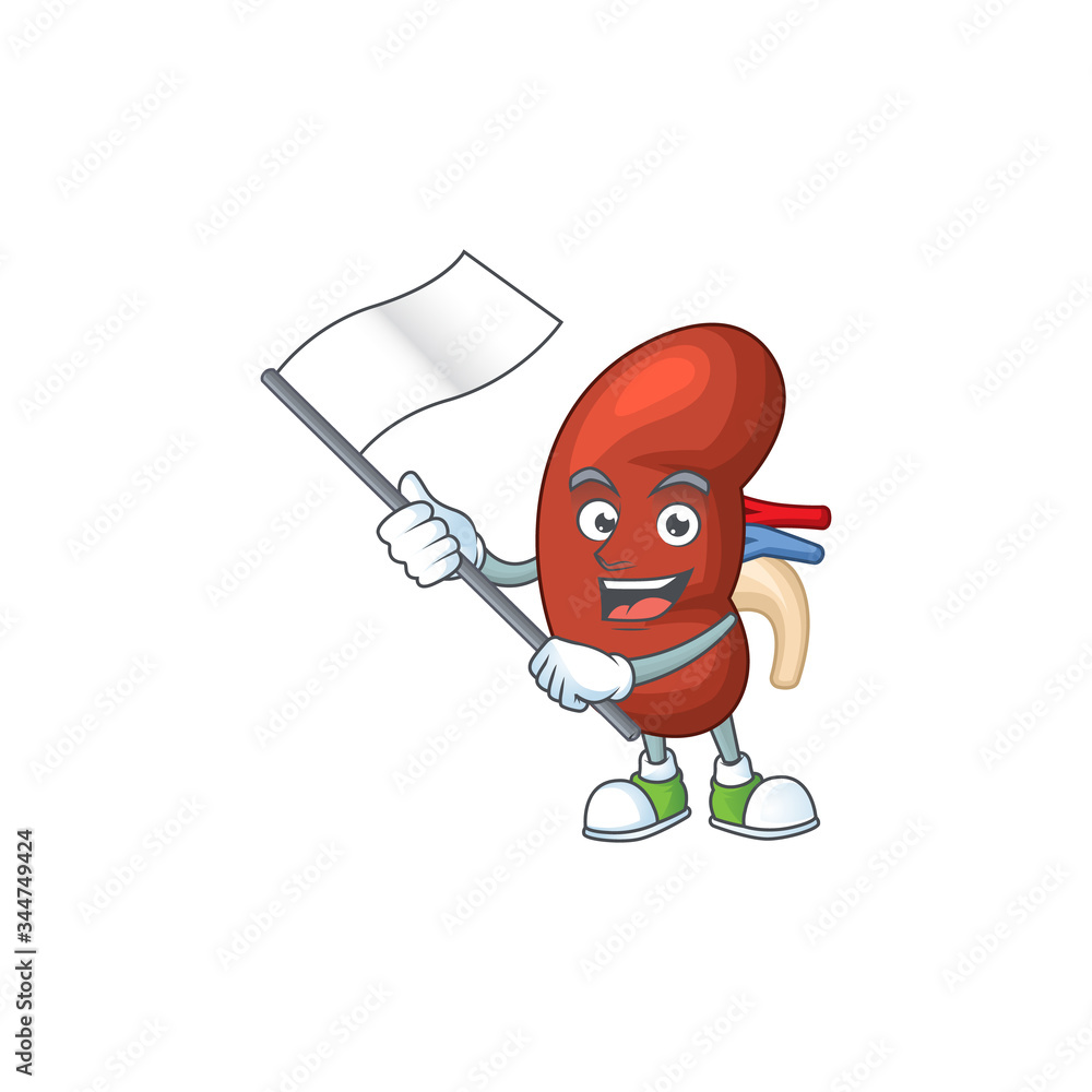 Cute cartoon character of leaf human kidney holding white flag