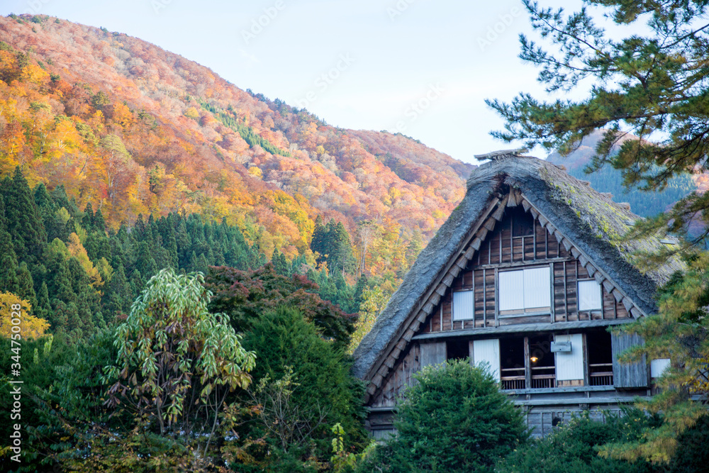 Historic village of Shirakawago in Japan