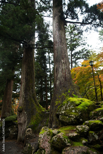 Fall at Eihei-Ji Temple in Fukui  Japan