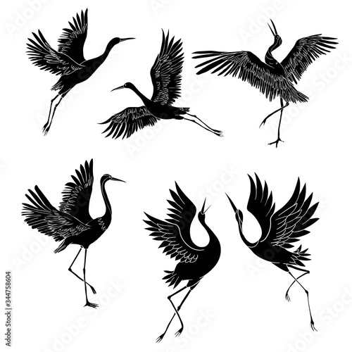 Silhouette or shadow black ink icons of crane birds or herons flying and standing set. Group of storks outline template or creative background vector illustration isolated on white.