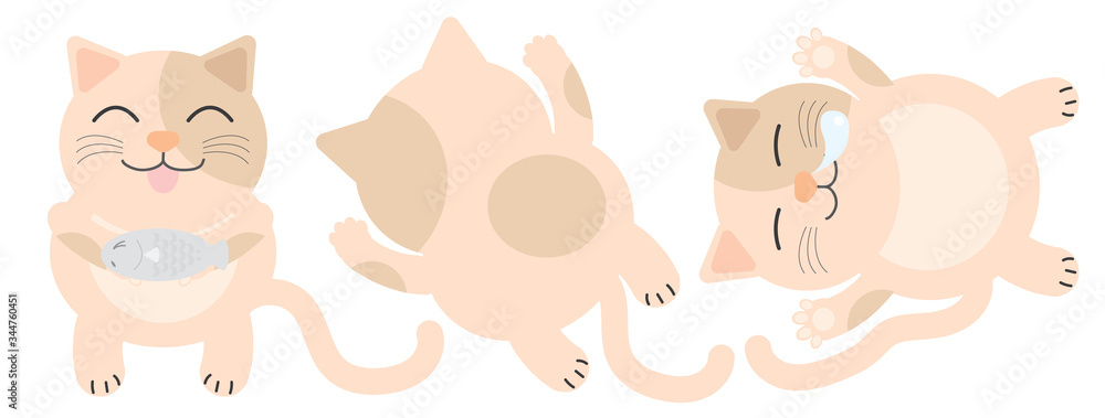 Obraz premium Orange fat cat has a dot on the face. He was glad to eat fish. Fat cats lie face down. Fat cat sleeps. clipart graphic for online or print. 
