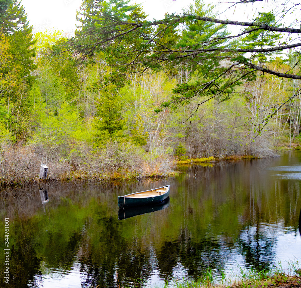 Canoe on a pond by the side of the road Pretty Marsh Bar Harbor Maine