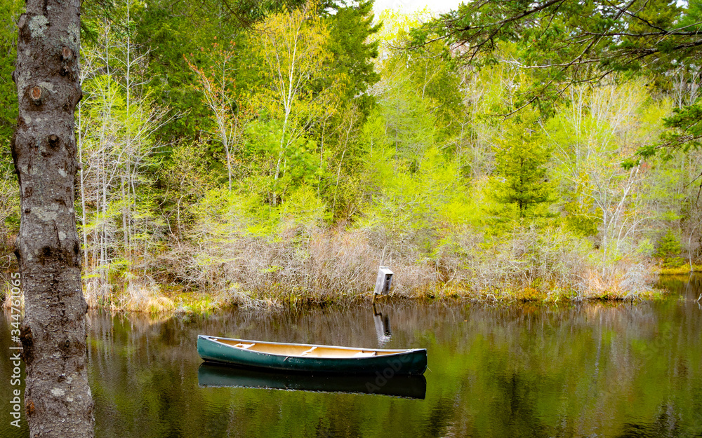 Canoe on a pond by the side of the road Pretty Marsh Bar Harbor Maine Canoe on a pond by the side of the road Pretty Marsh Bar Harbor Maine