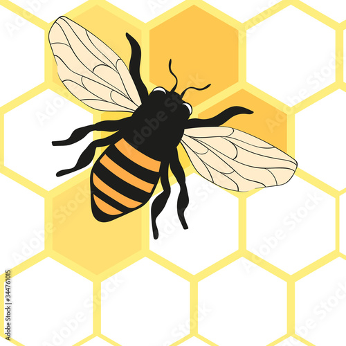 Concept for organic honey products, package design. Cartoon icon of honeycombs with bee. Natural farm product. Decorative flat vector element for jar of honey, promo poster, flyer.