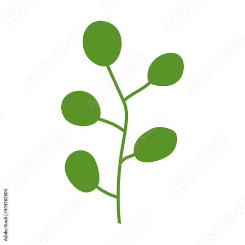 Green alga isolated with large round leaves on a white background. Logo for spa salon, massage, oceanarium, hotel, beach area. Vector silhouette of a marine plant in flat style