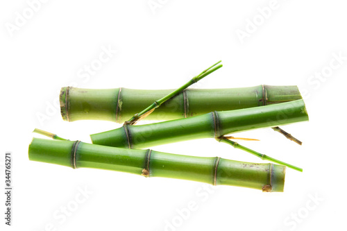 Branches of bamboo isolated on white background