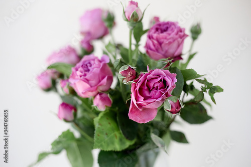 A close up of rose a flower © Никита Стародубцев