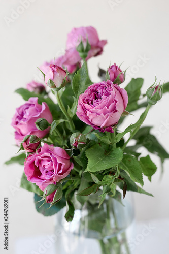 A vase filled with pink rose flowers