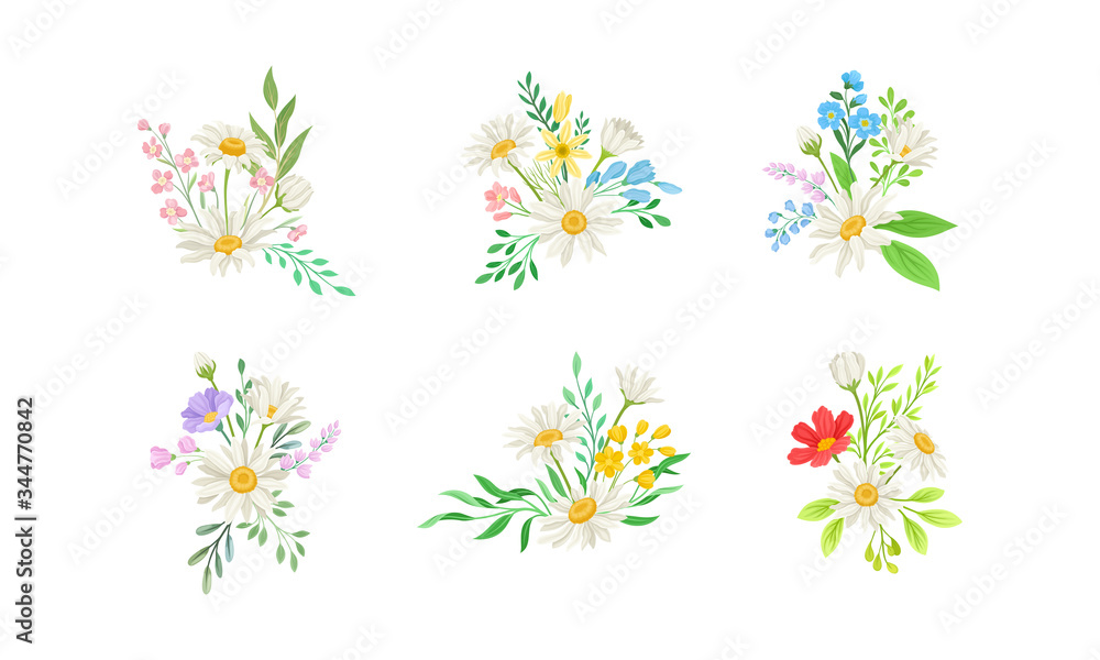 Daisy Flowers and Meadow Flora with Green Branches Compositions Vector Set - obrazy, fototapety, plakaty 