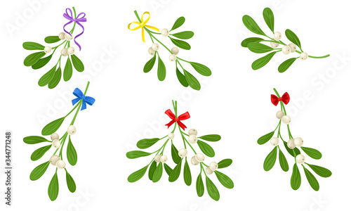Mistletoe or Viscum Branches with Oblong Leaves and Berries Tied in Ribbons Vector Set