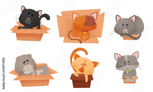 Cute Cat Sitting and Sleeping in Carton Box Vector Set
