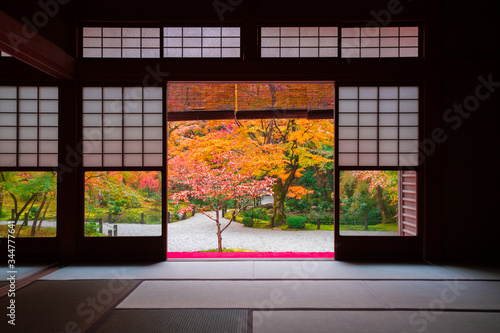 京都 圓光寺の紅葉