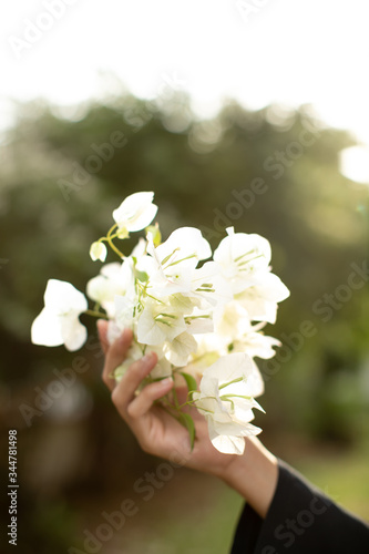 Canvas Print a lady hold a bunch of white bougainvillaea