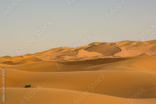Sahara desert  Morocco  Erg chebbi
