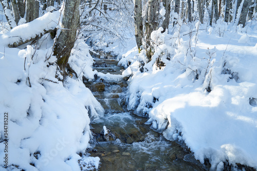 Mountain river in the winter forest.