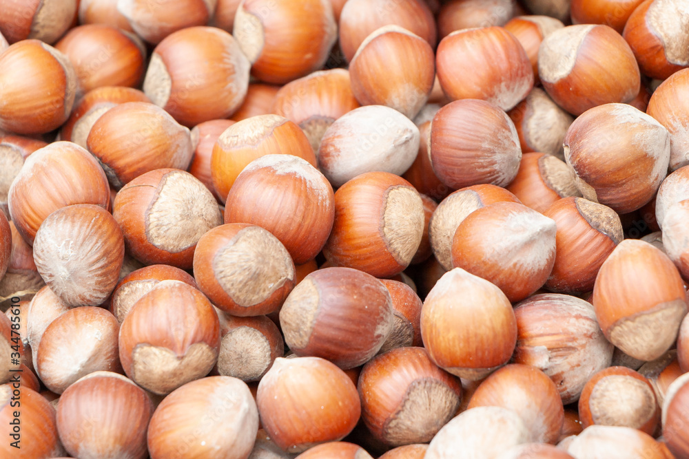 background of many hazelnuts. healthy natural concept background of many hazelnuts. healthy natural concept