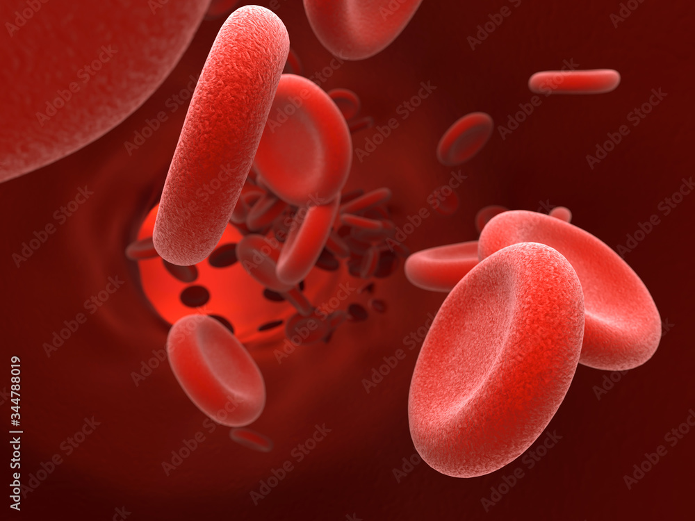 Red blood cell background, erythrocytes. 3D illustration. Red blood cell background, erythrocytes. 3D illustration.
