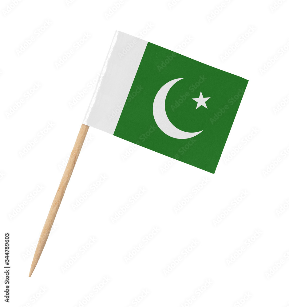 Small paper flag of Pakistan on wooden stick Small paper flag of Pakistan on wooden stick