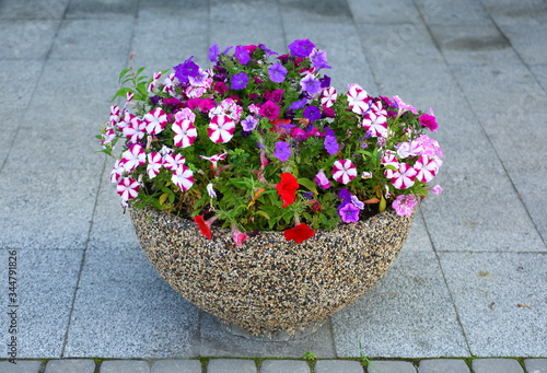 Round stone mottled compact flowerbed with colorful flowers
