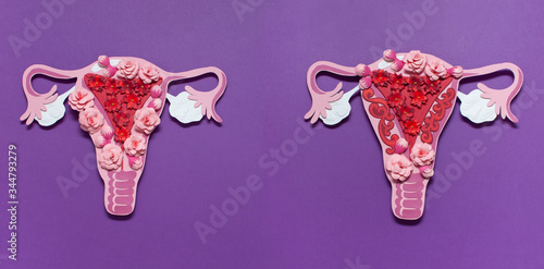 The women's reproductive system. The concept of endometriosis of the uterus. Beautiful art concept of gynecological diseases made of paper. Paper flowers. 